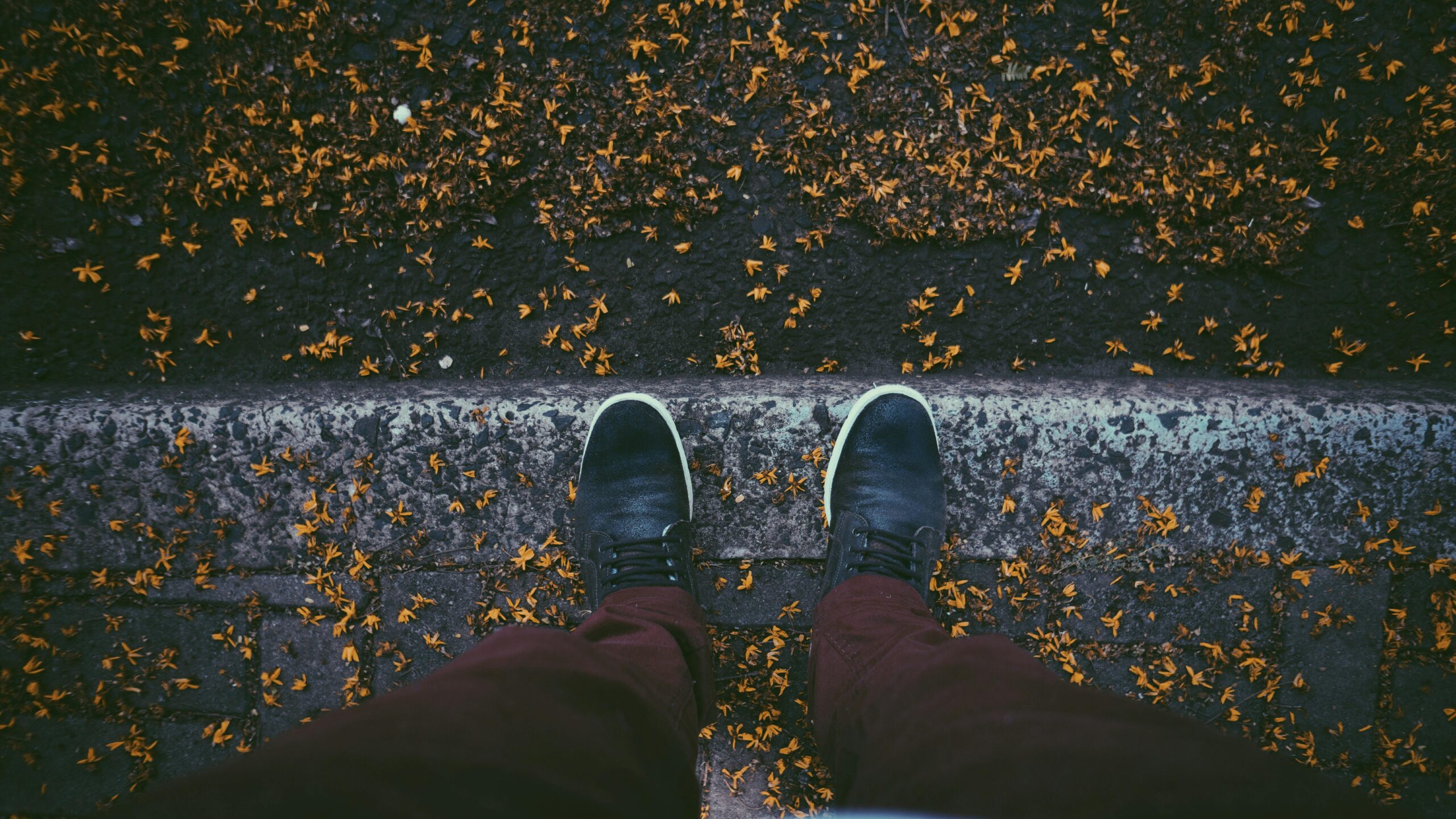 Strong Goods and the Reenchantment of Cultural Apologetics